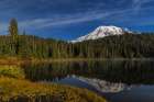 Mount Rainier in Reflection Lake in Mount Rainier National Park, Washington State, USA Art Print